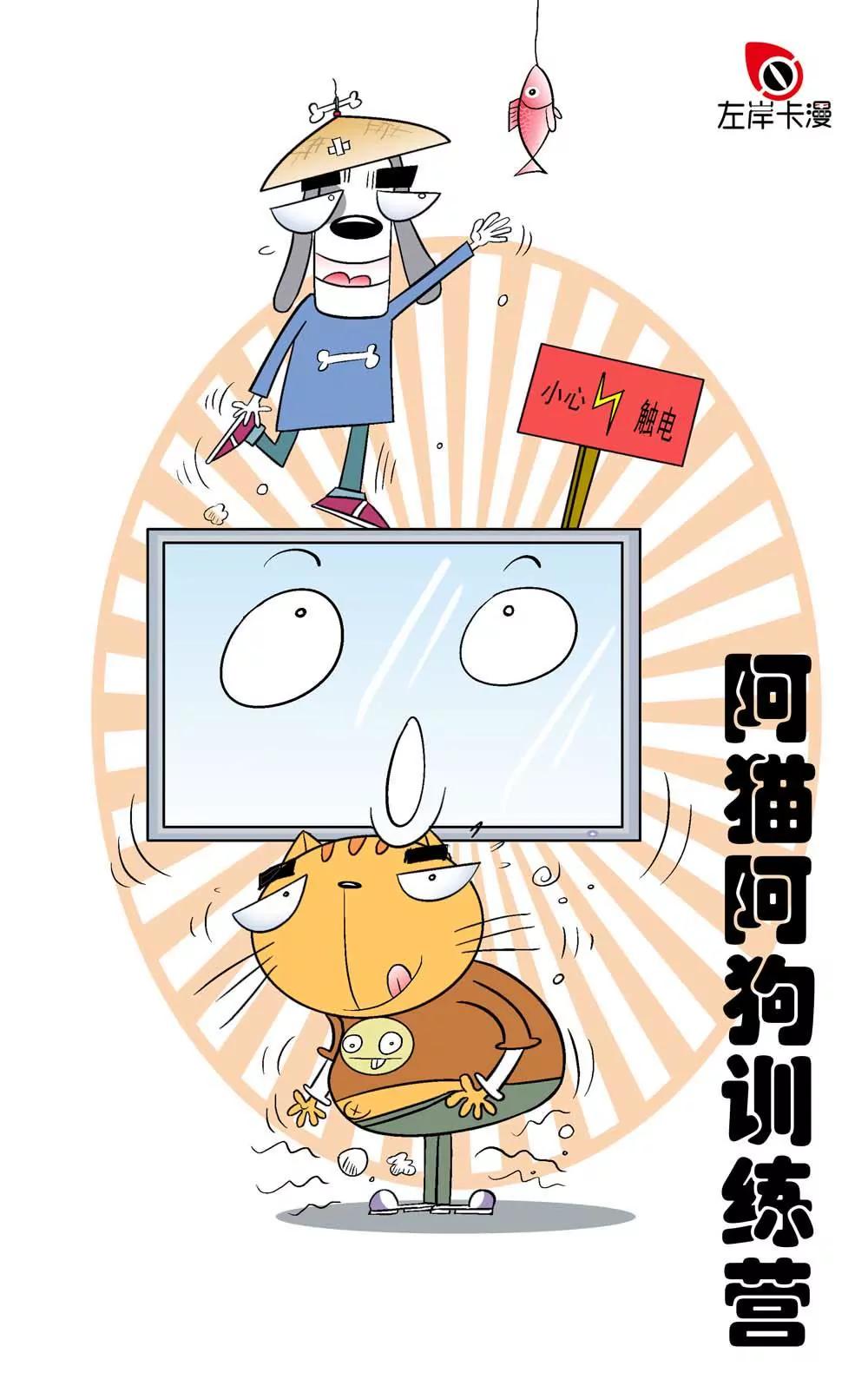 阿貓阿狗訓練營 - 第1話 - 1