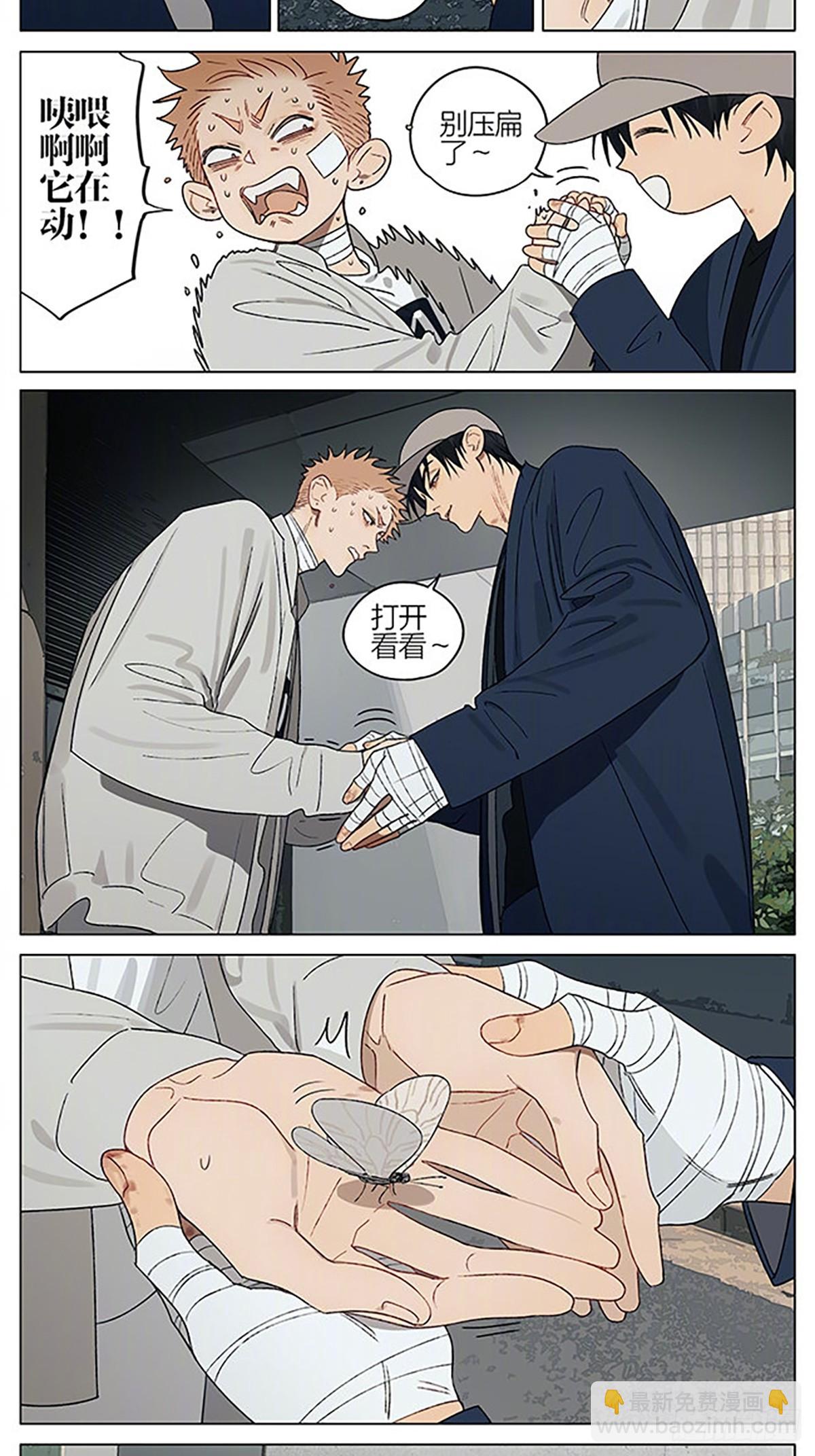16.jpg