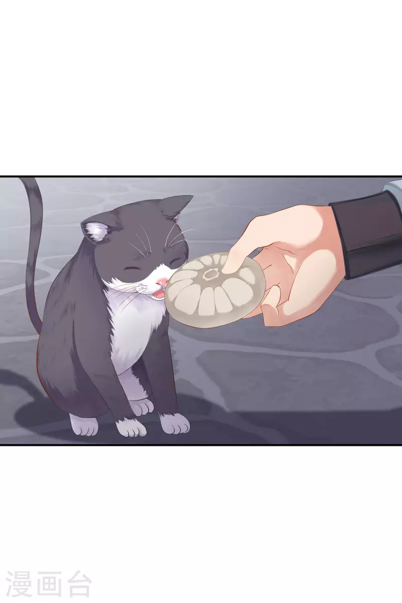 穿越王妃要升級 - 第247話 夜宿冀州城 - 3