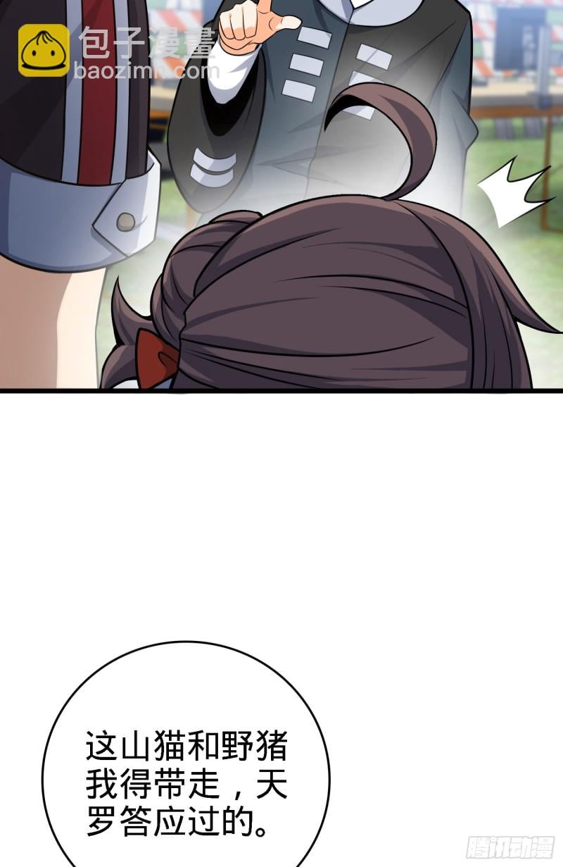33.jpg