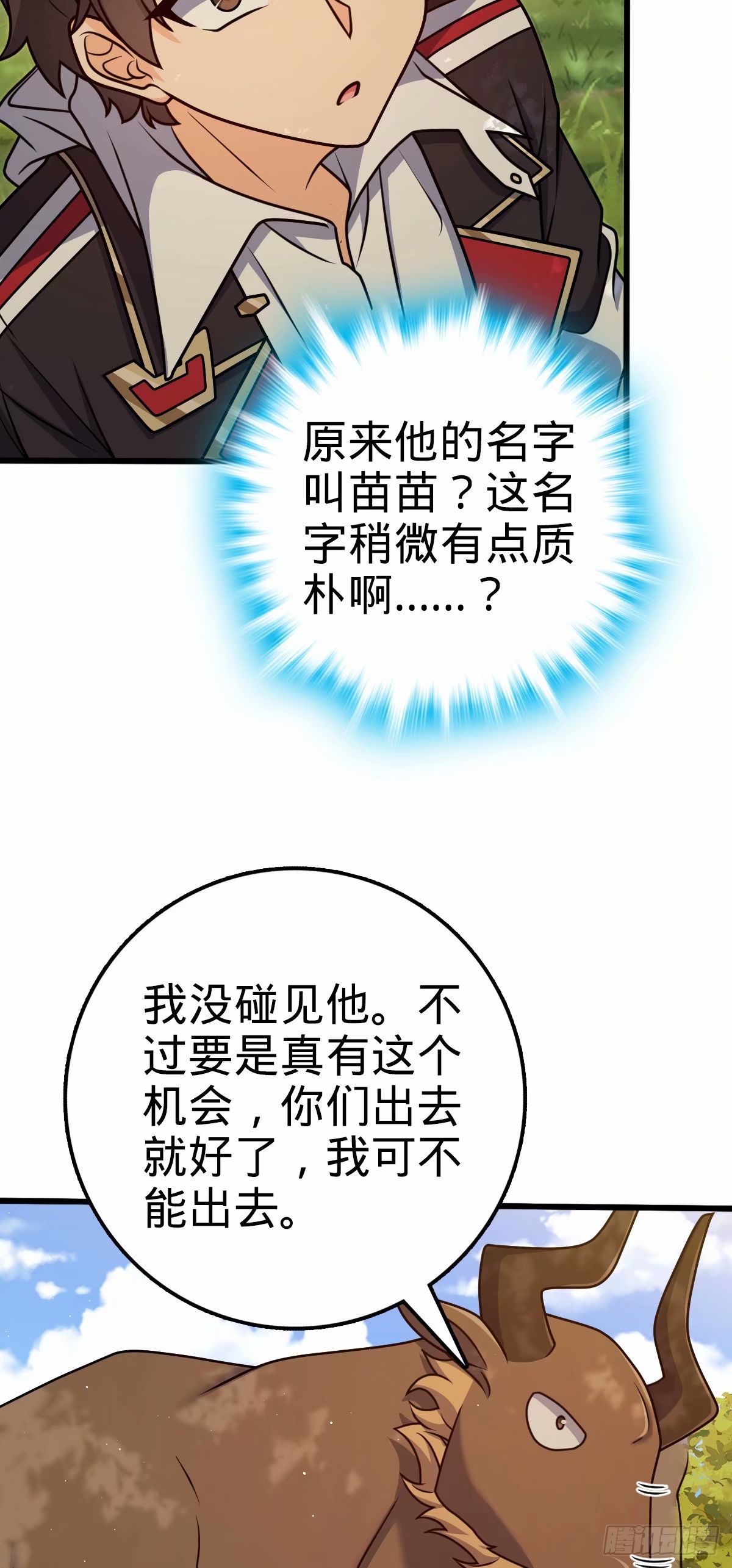 11.jpg