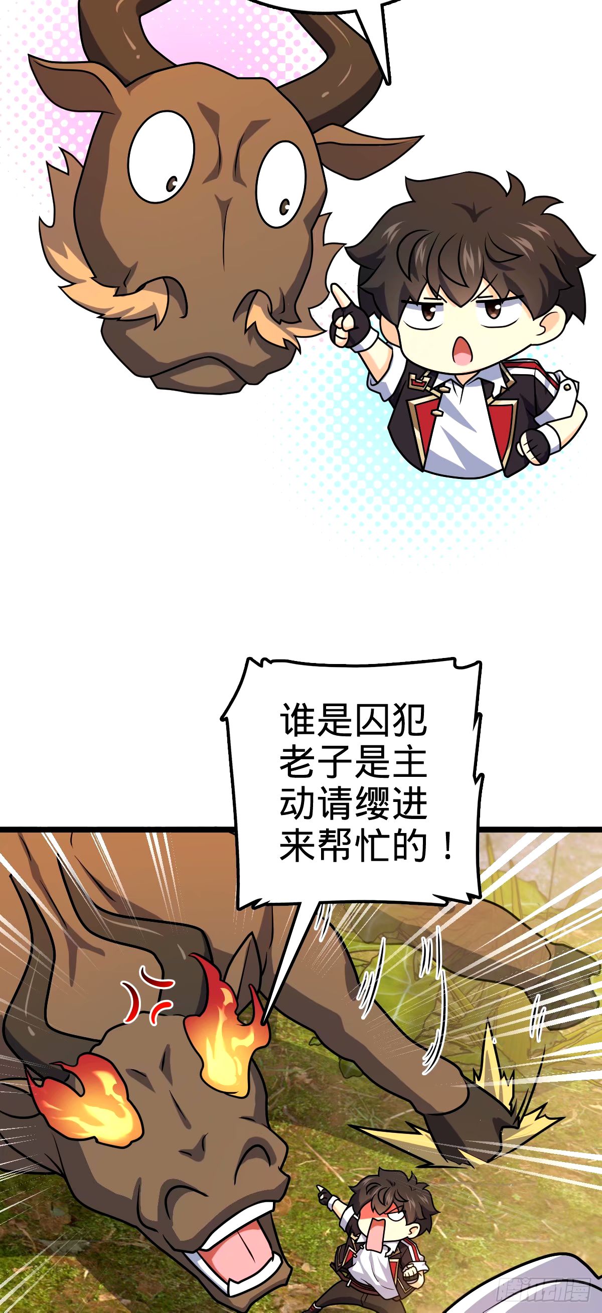 31.jpg
