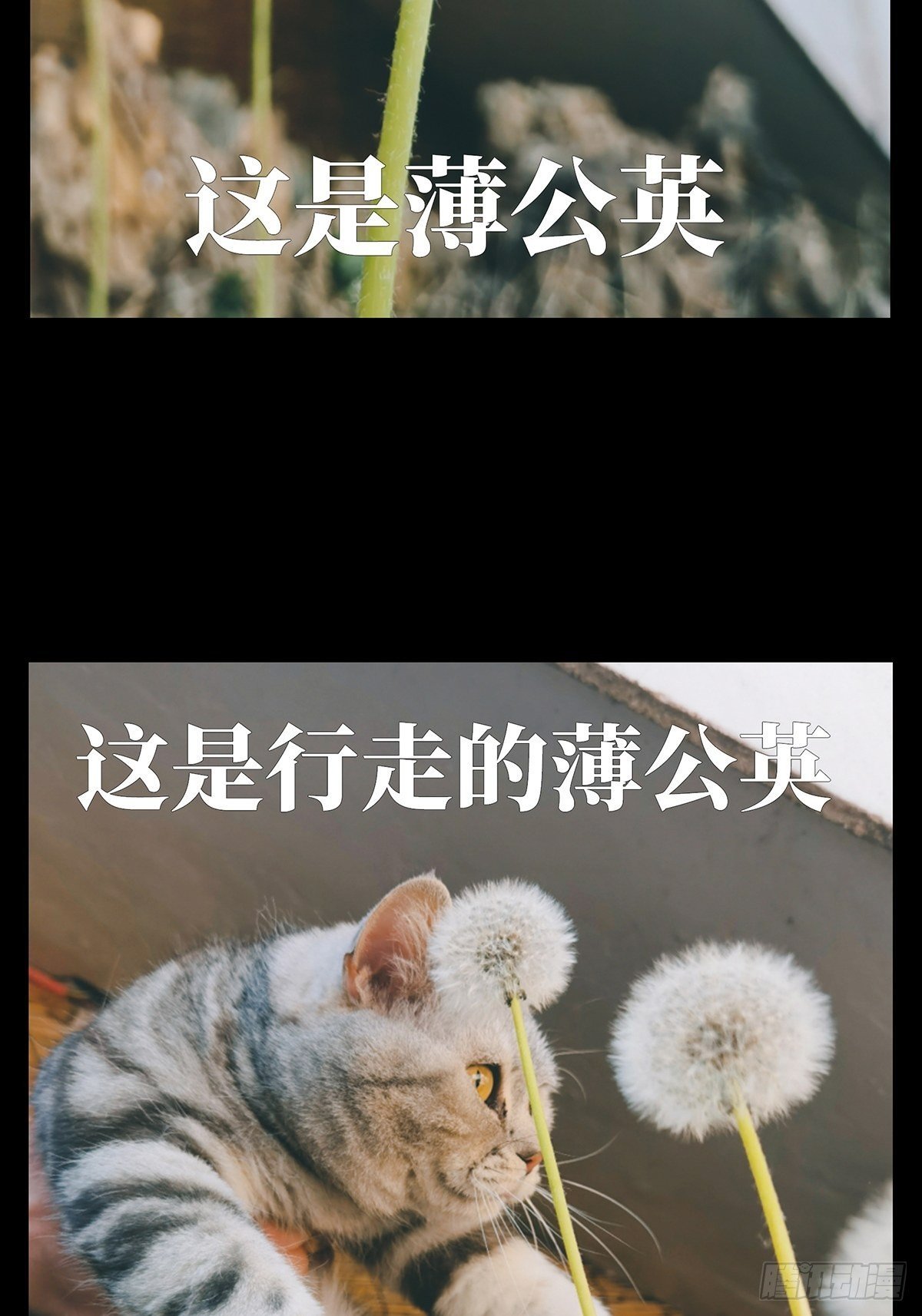 84.jpg