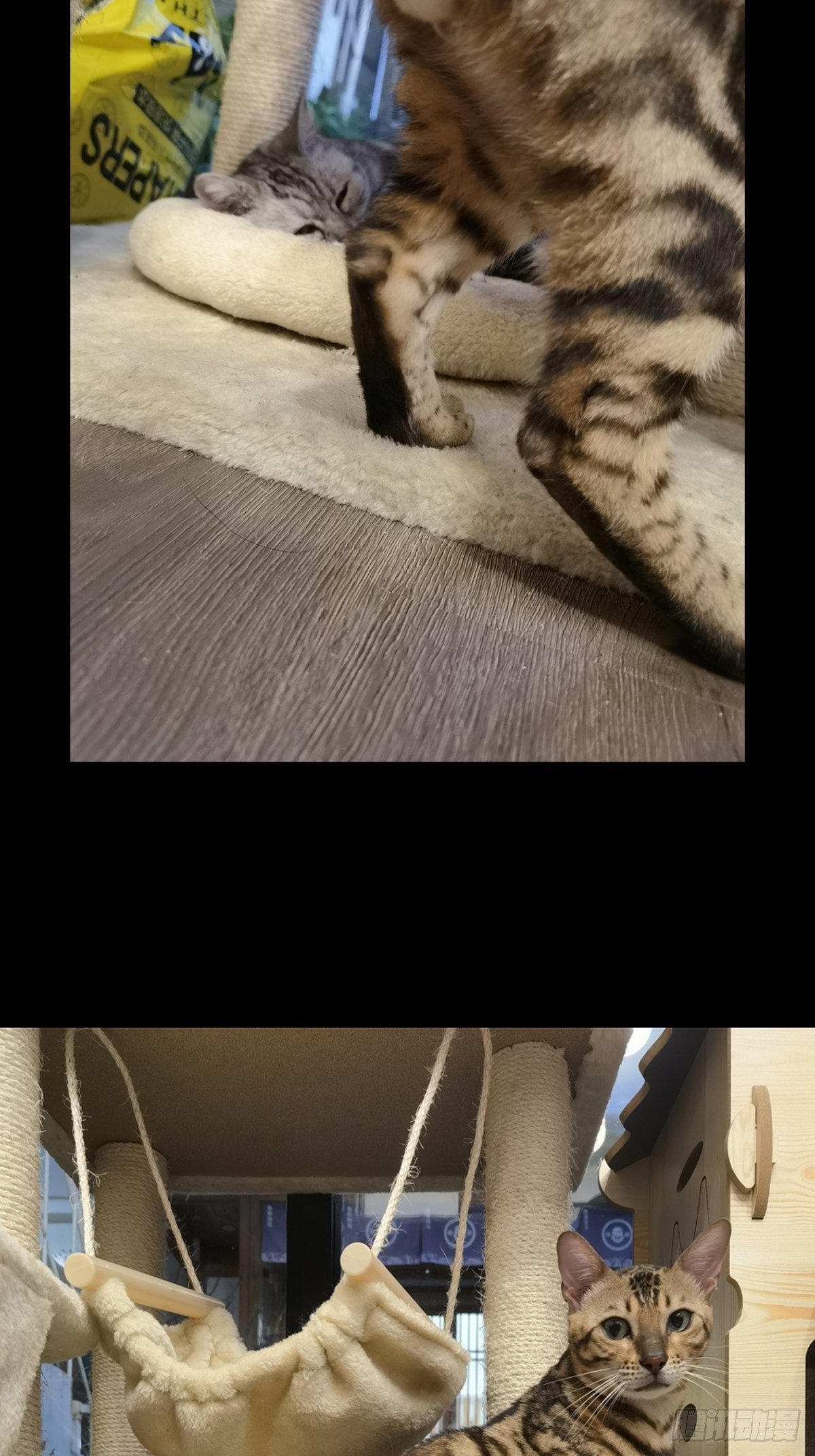 87.jpg