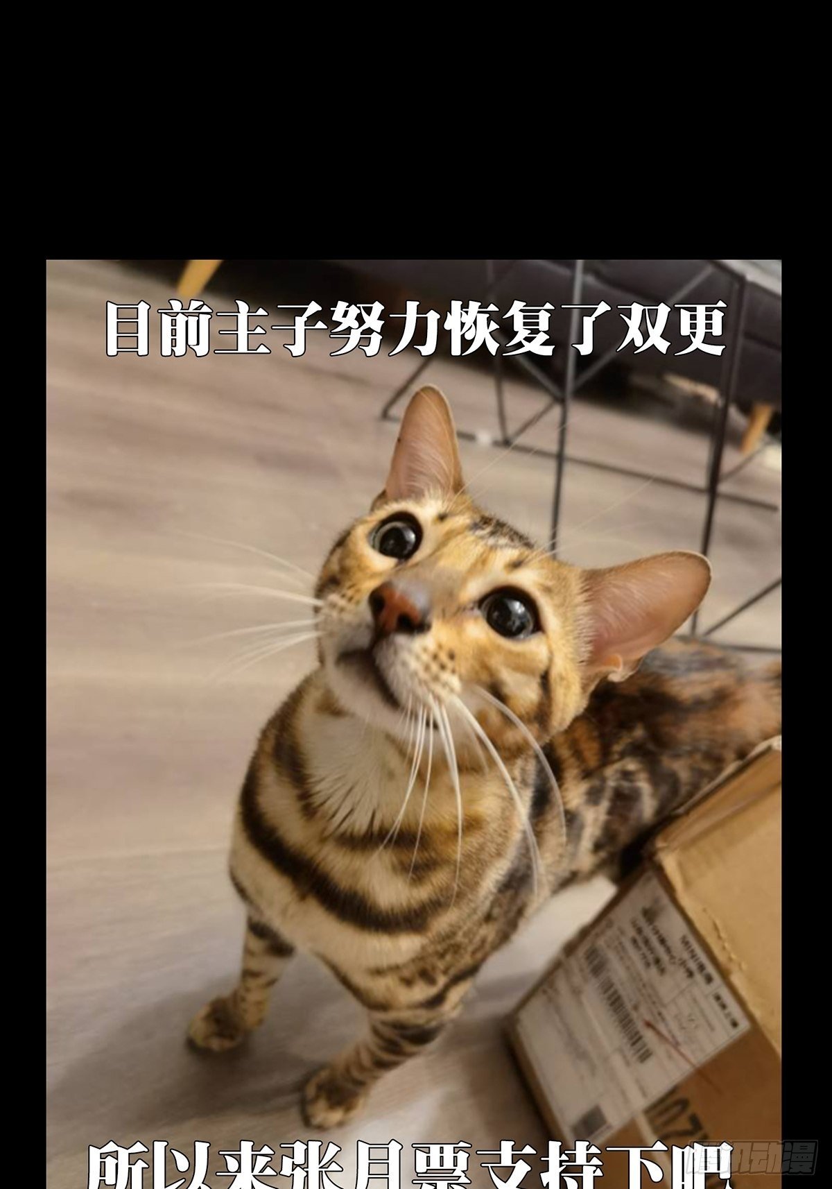93.jpg