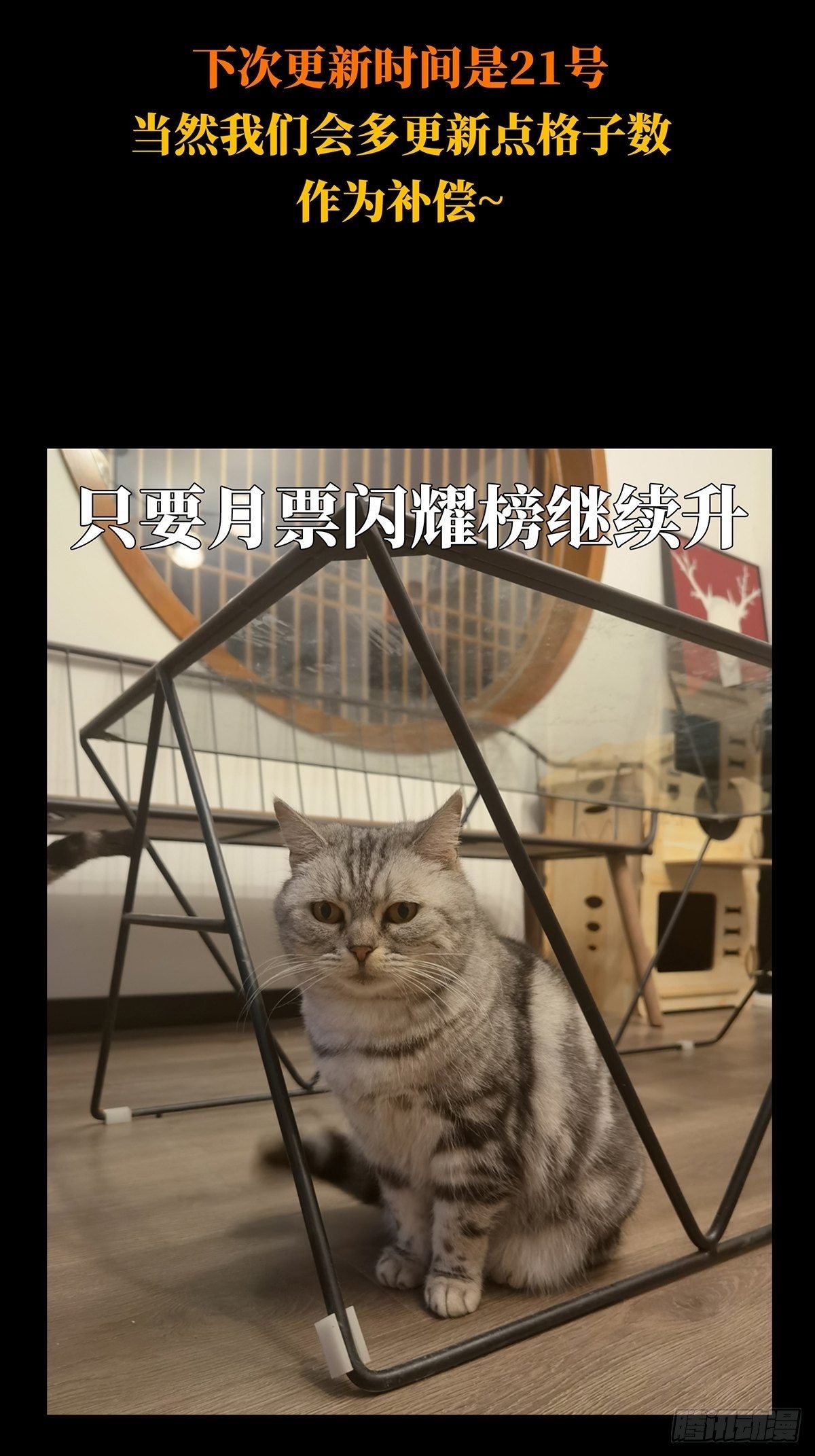 89.jpg