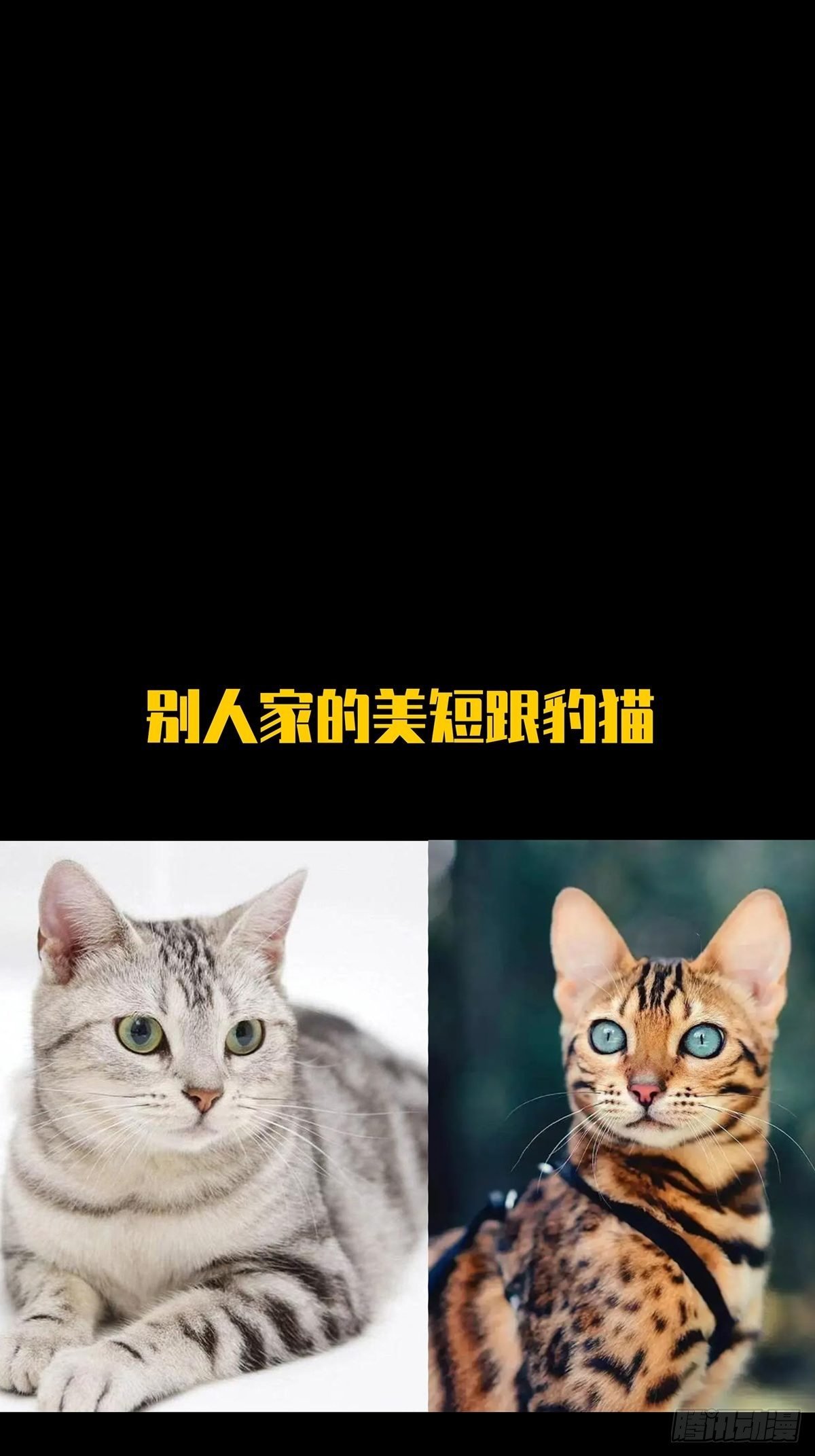 92.jpg