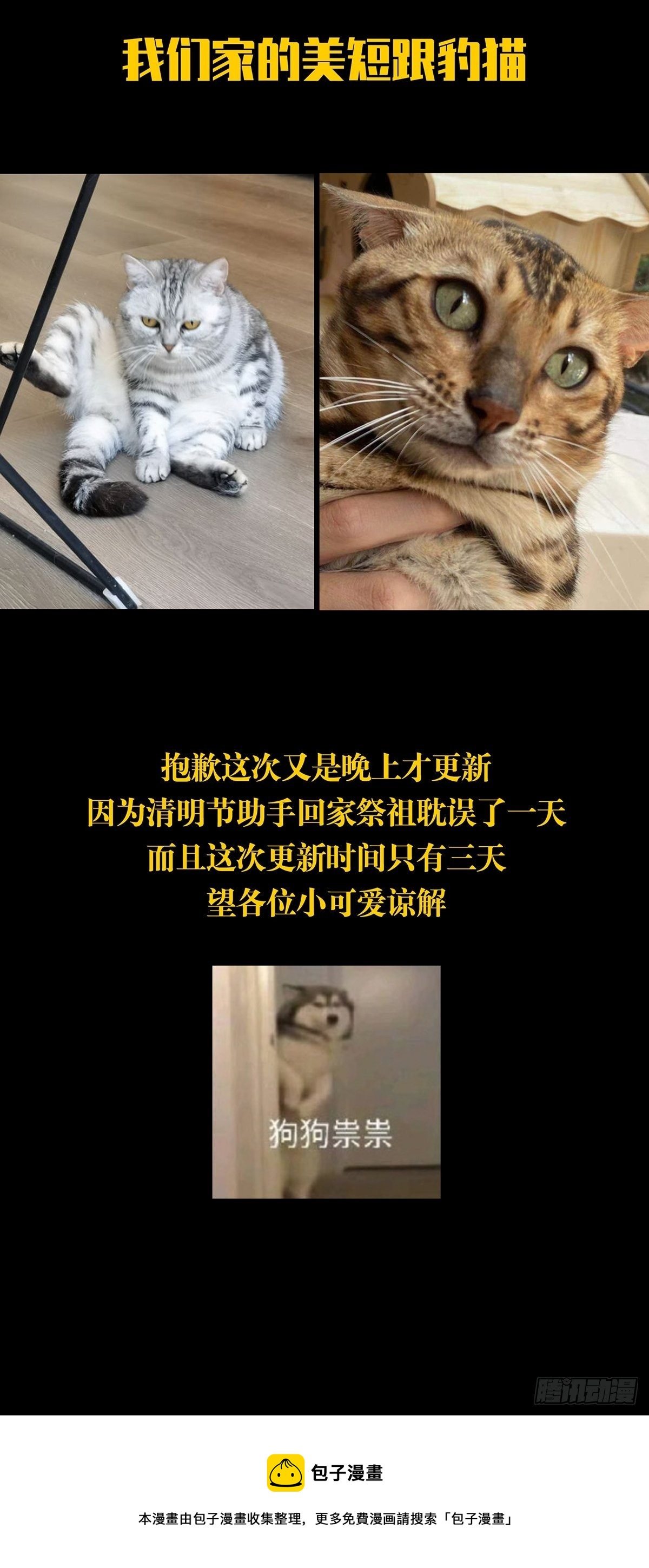 94.jpg