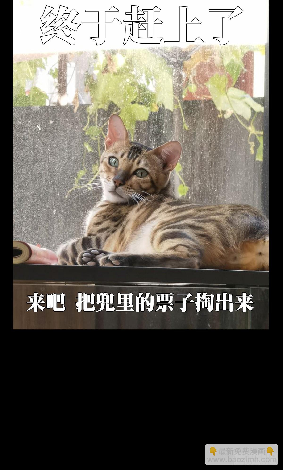 88.jpg
