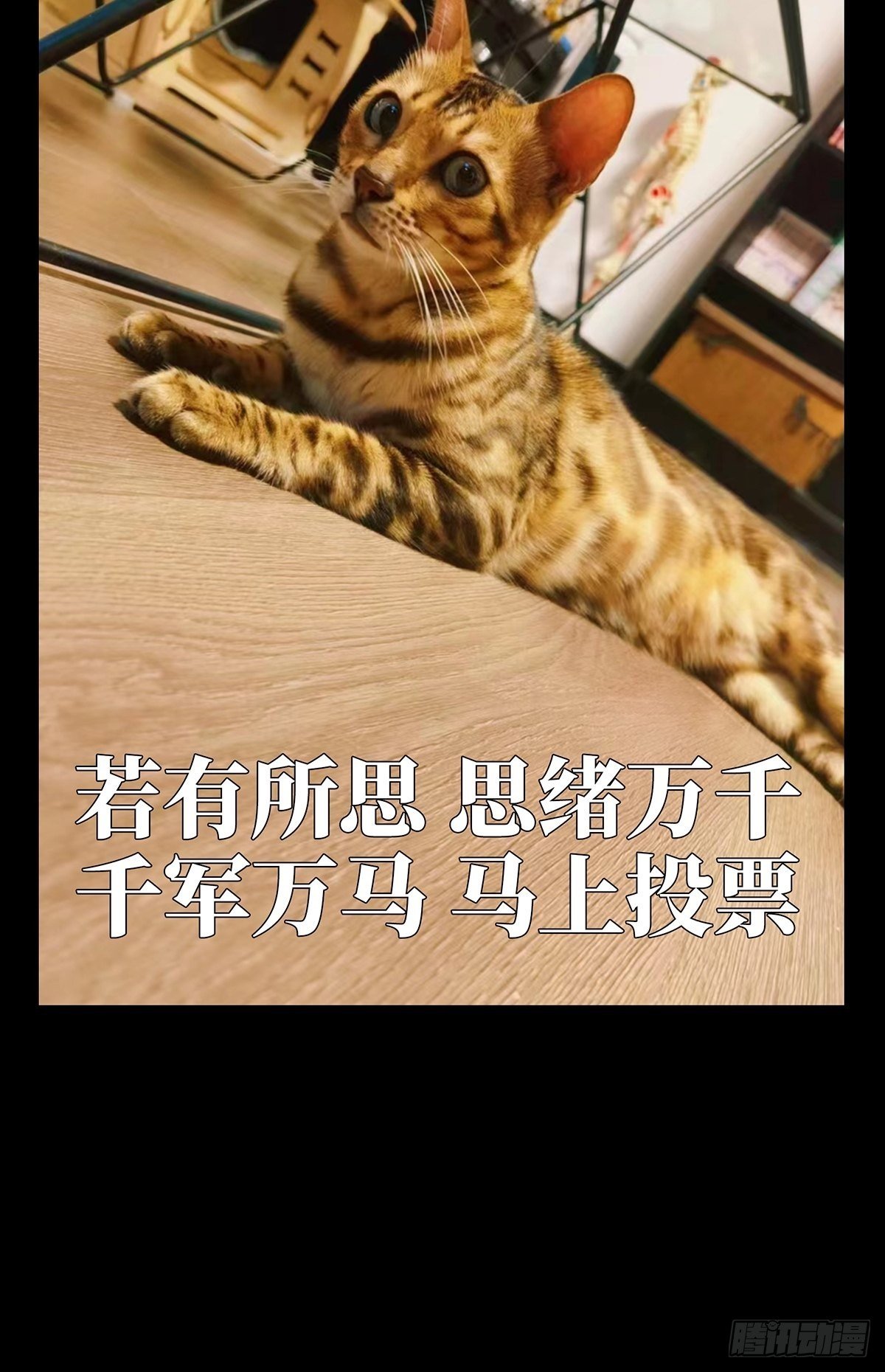 94.jpg