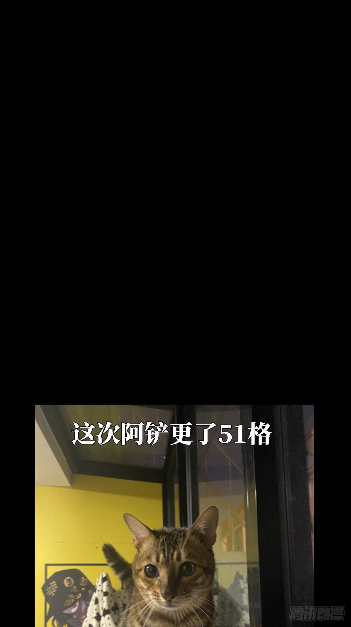 100.jpg