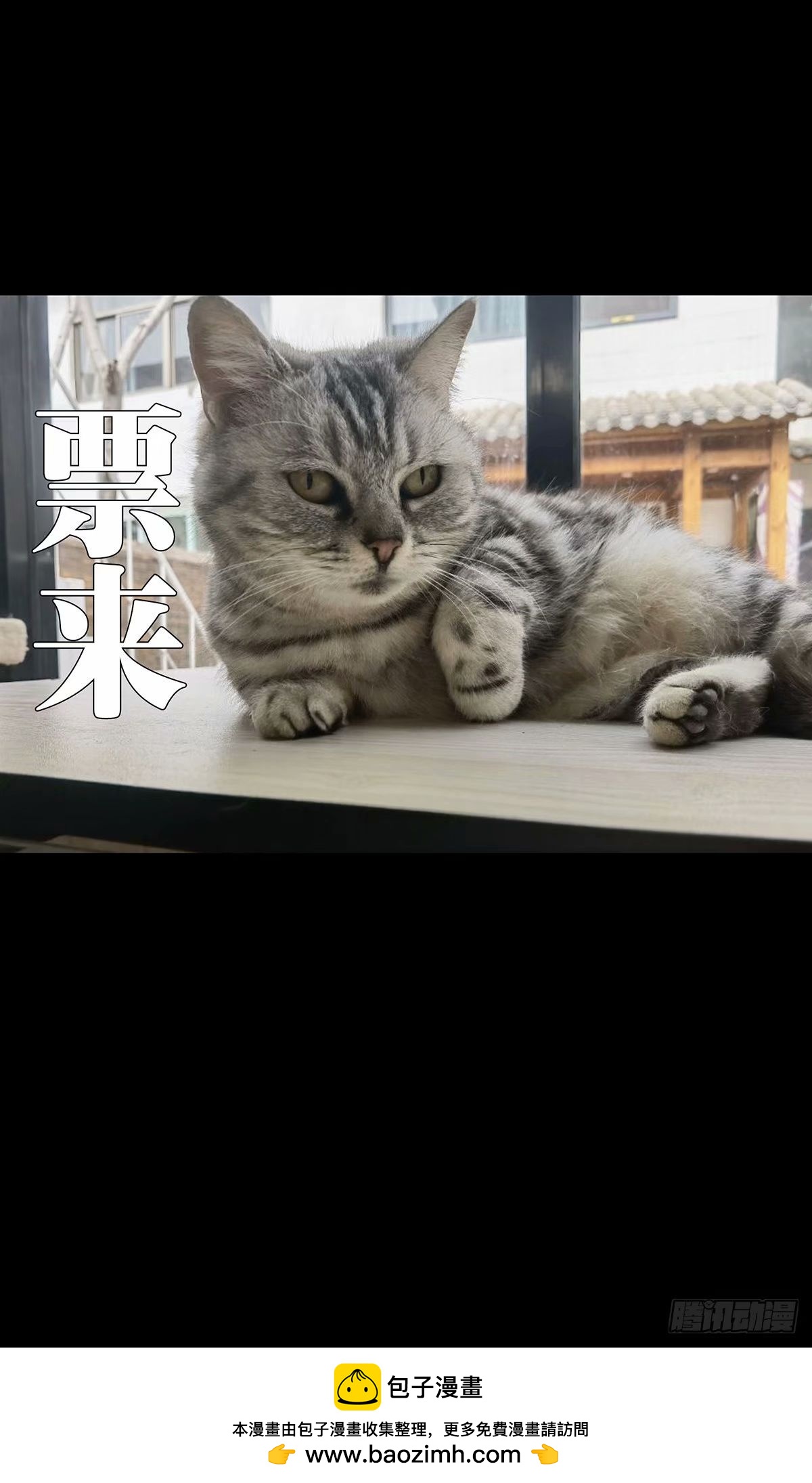 88.jpg