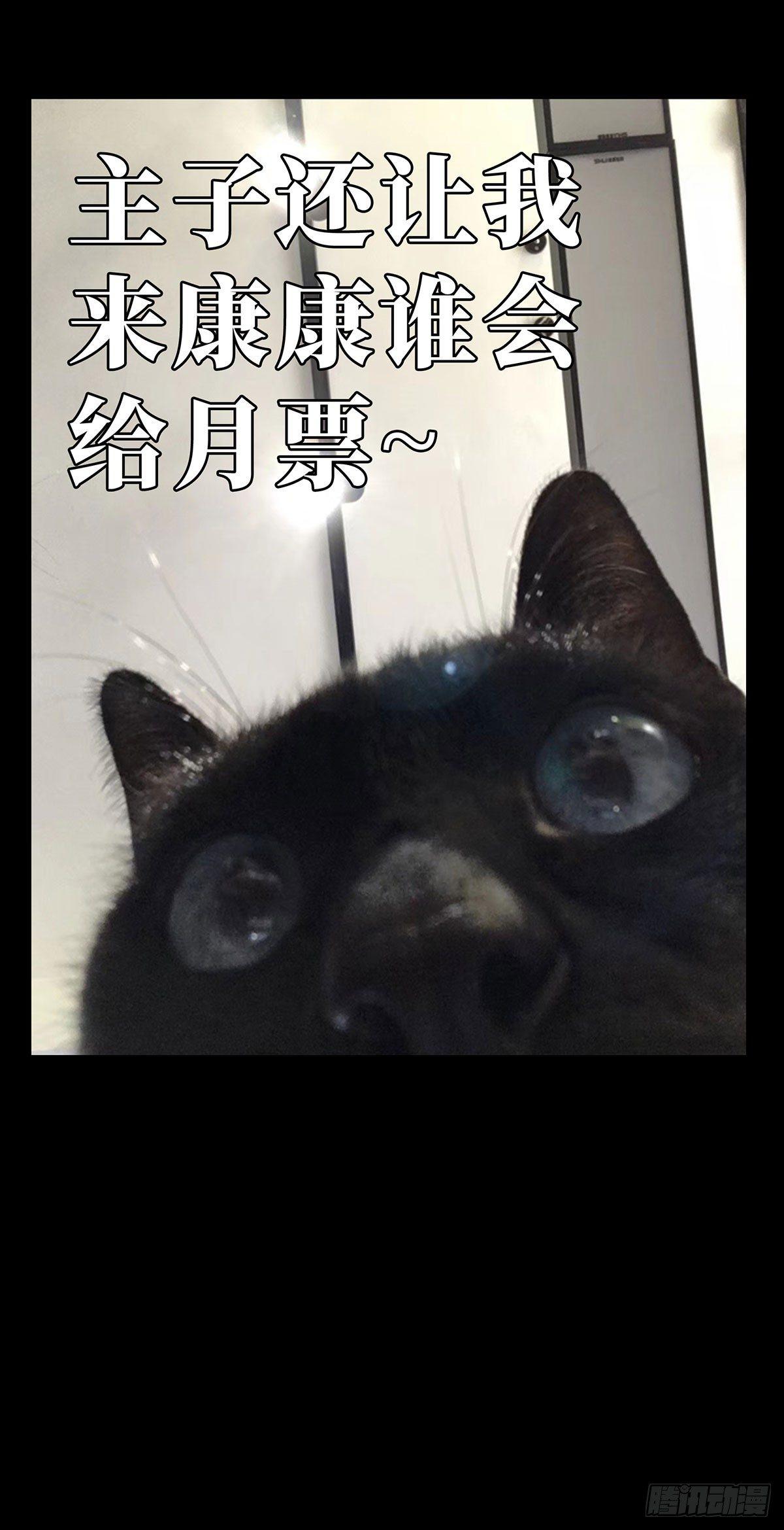 70.jpg