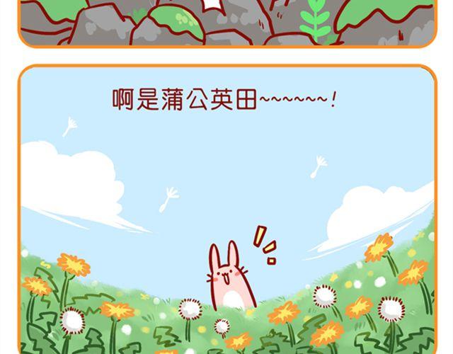 肥喵與兔紙 - 如何養成一隻吃肉的兔紙 - 2