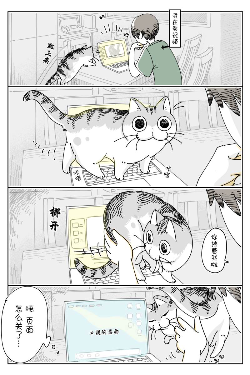 1.jpg