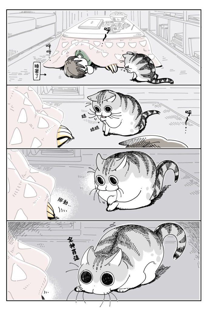 1.jpg