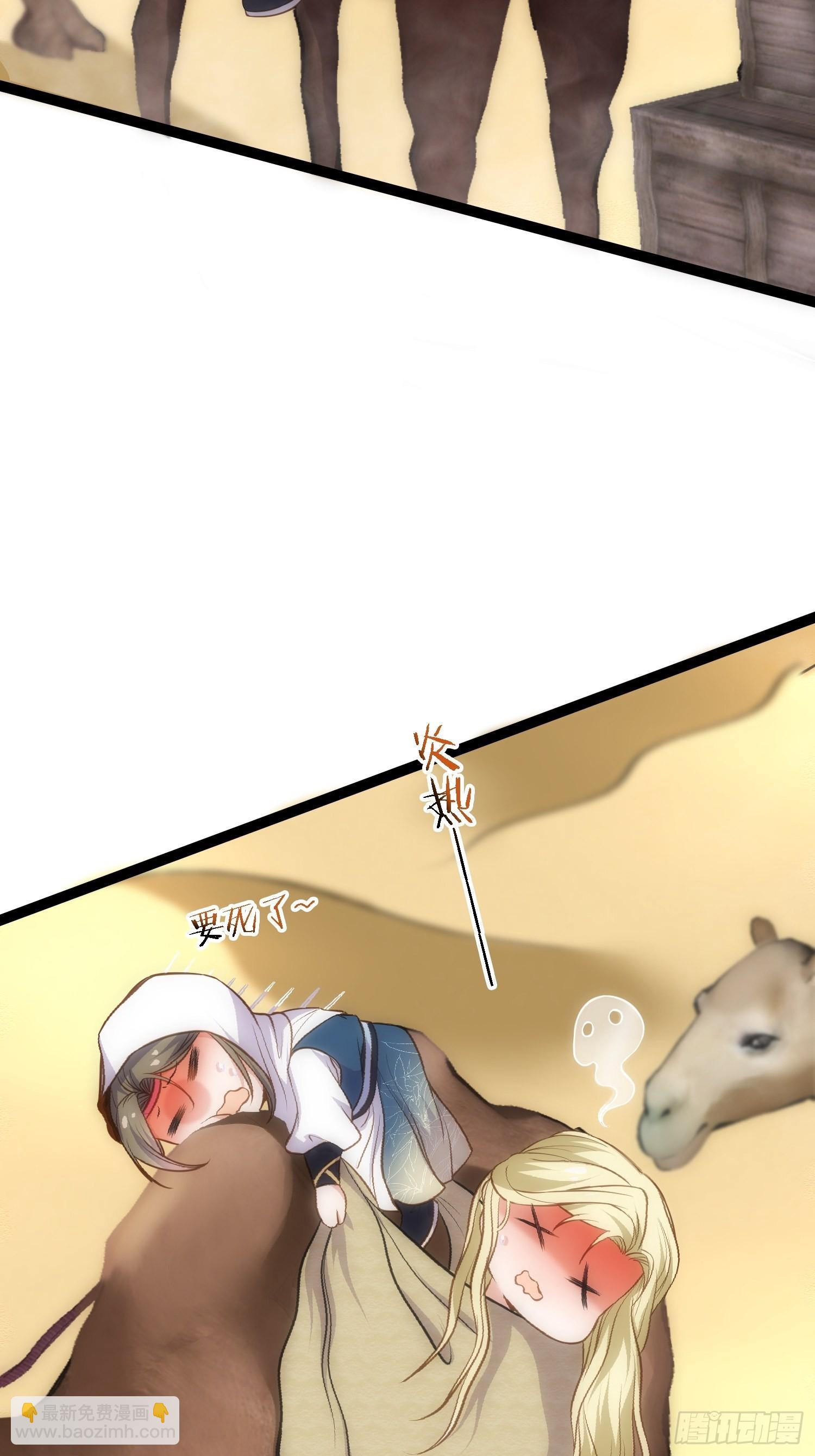 41.jpg