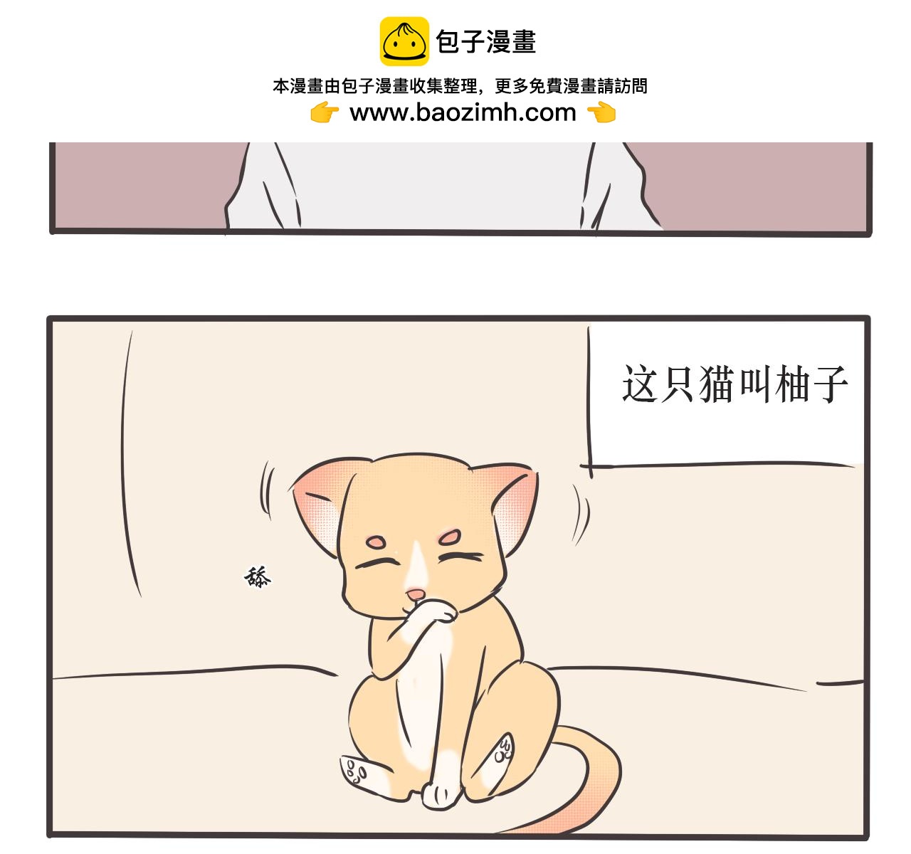 家有貓妖 - 貓妖 - 2
