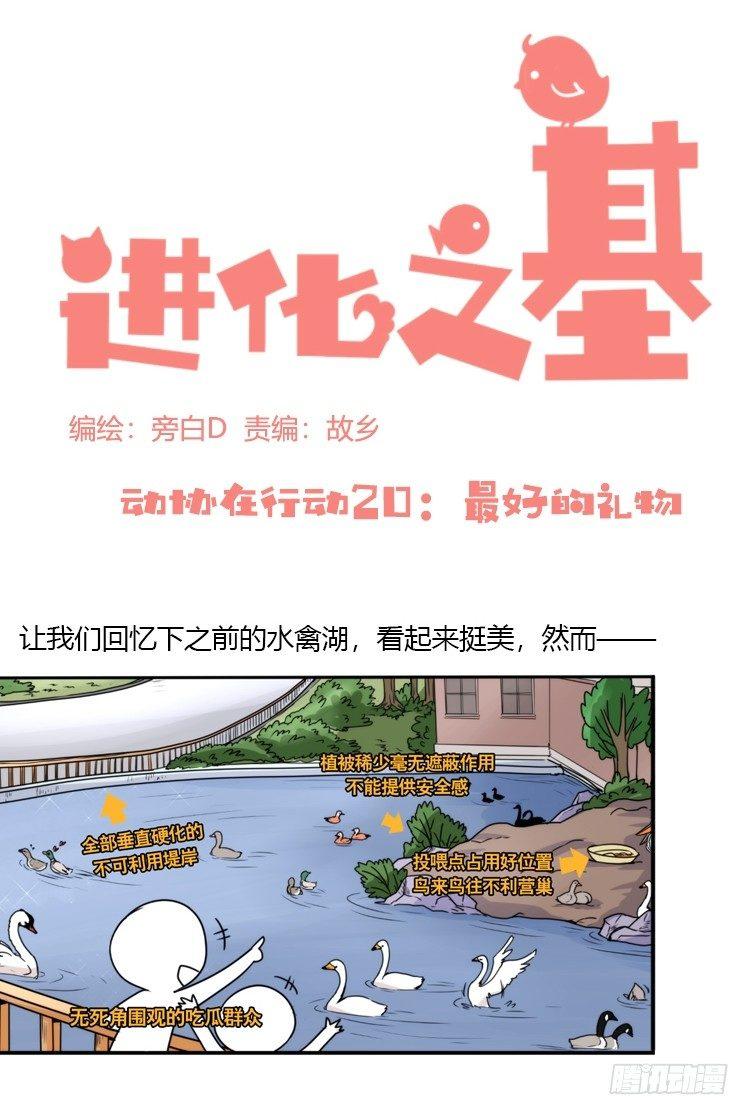 進化之基 - 動協在行動20：最好的禮物 - 2