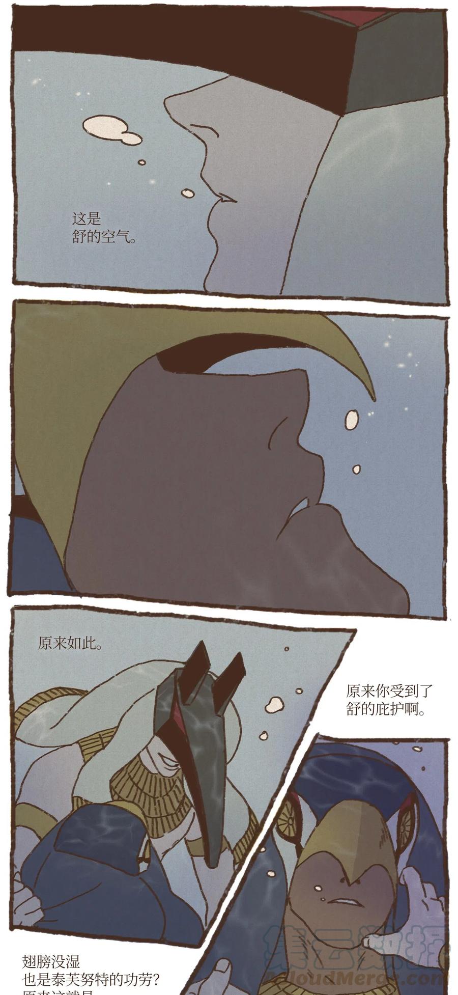 41.jpg