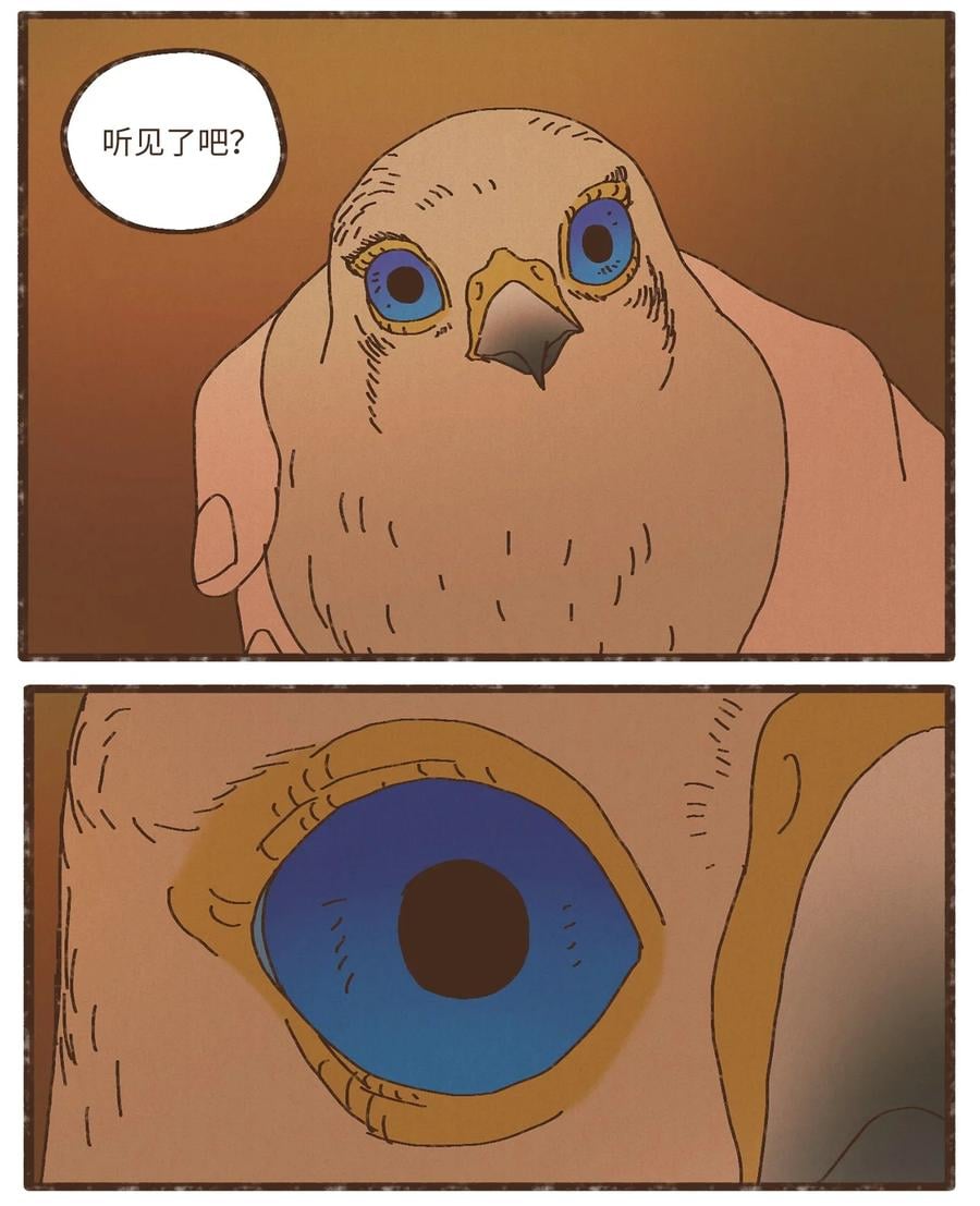 56.jpg