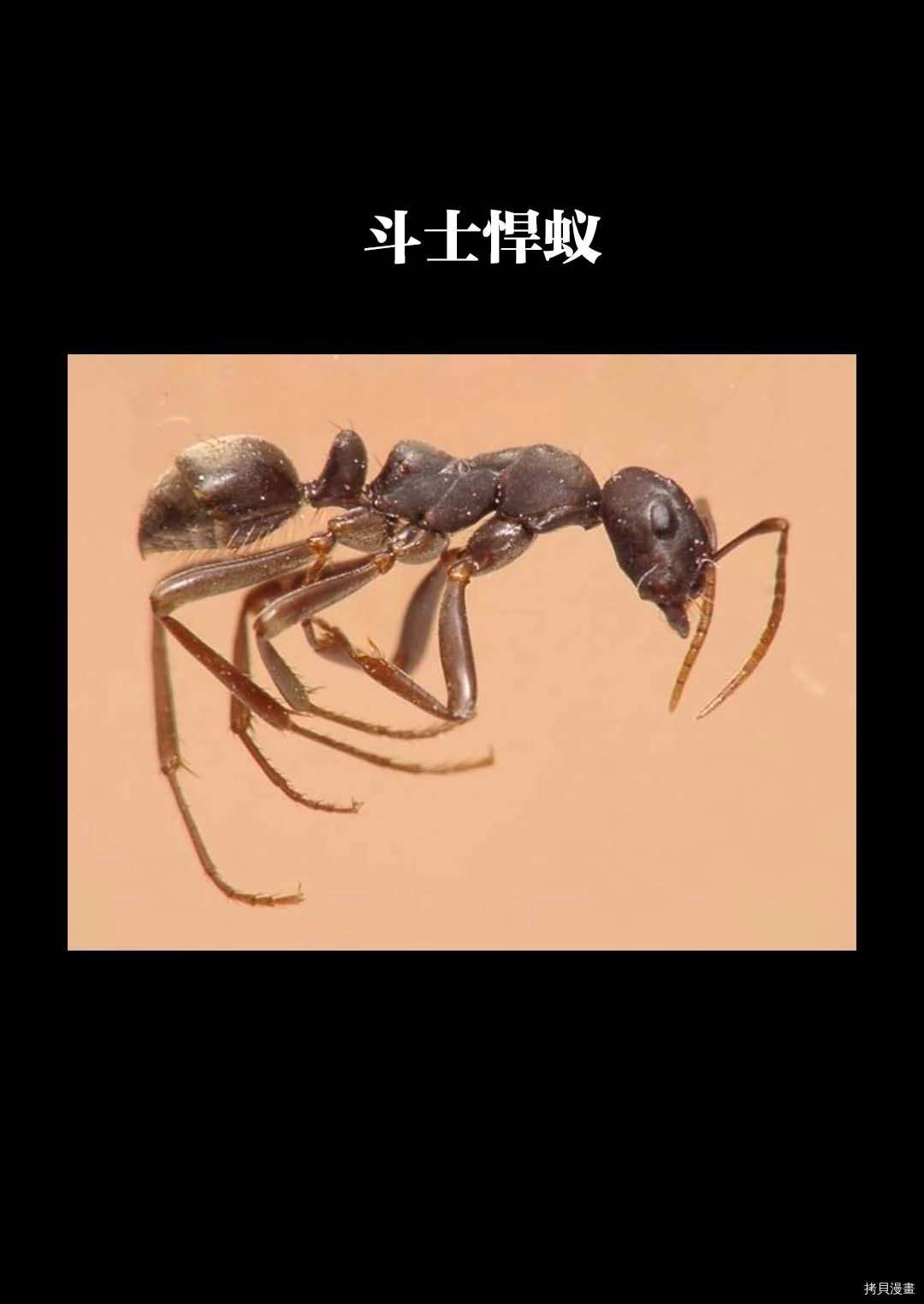 57.jpg