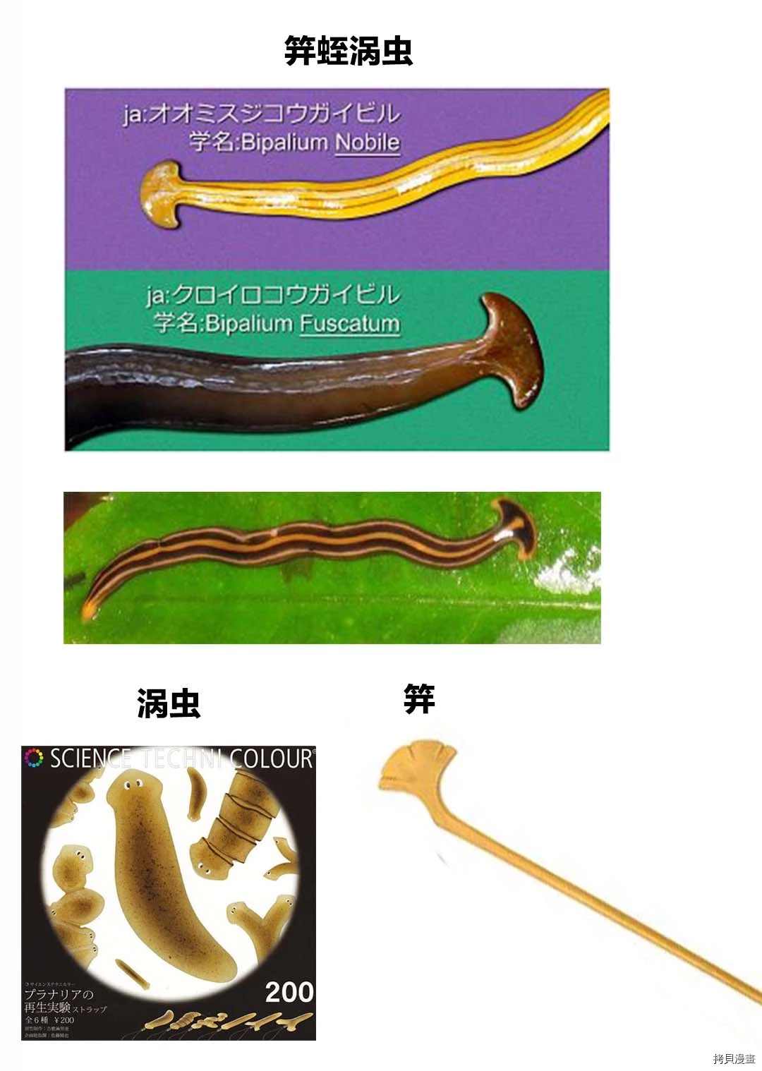 58.jpg