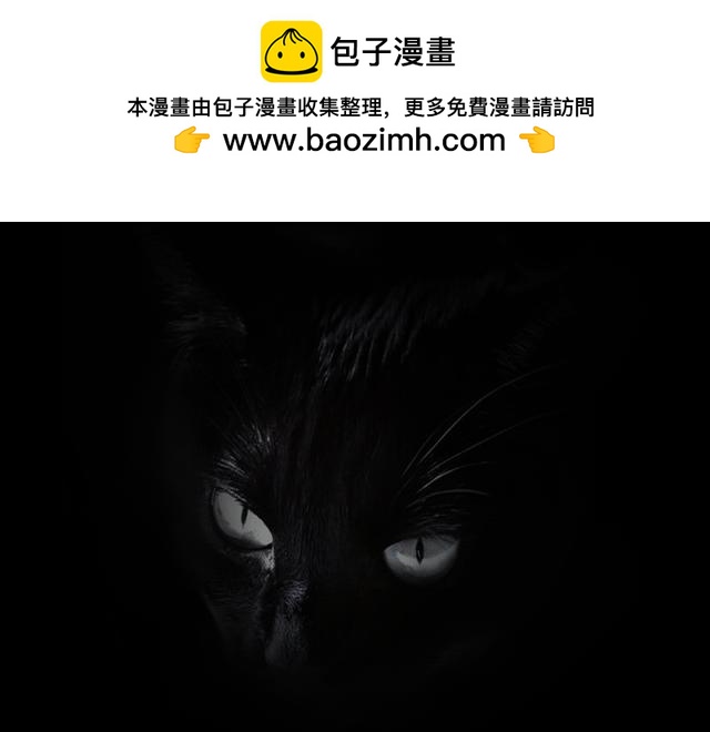 恐懼靈魂 - 安全小區—九命貓 - 2