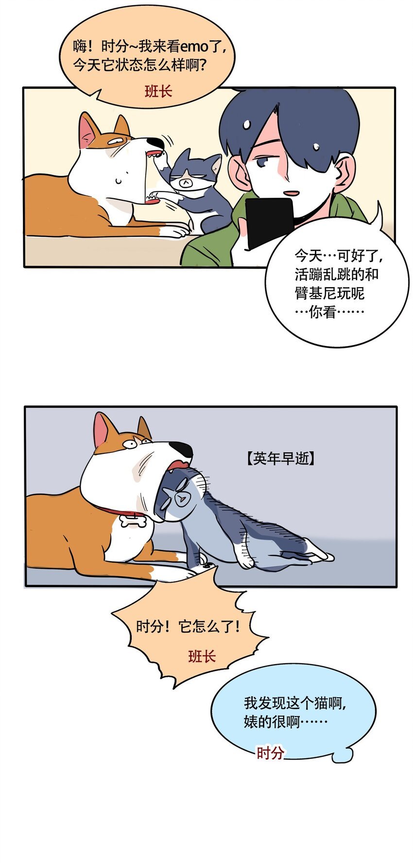 11.jpg