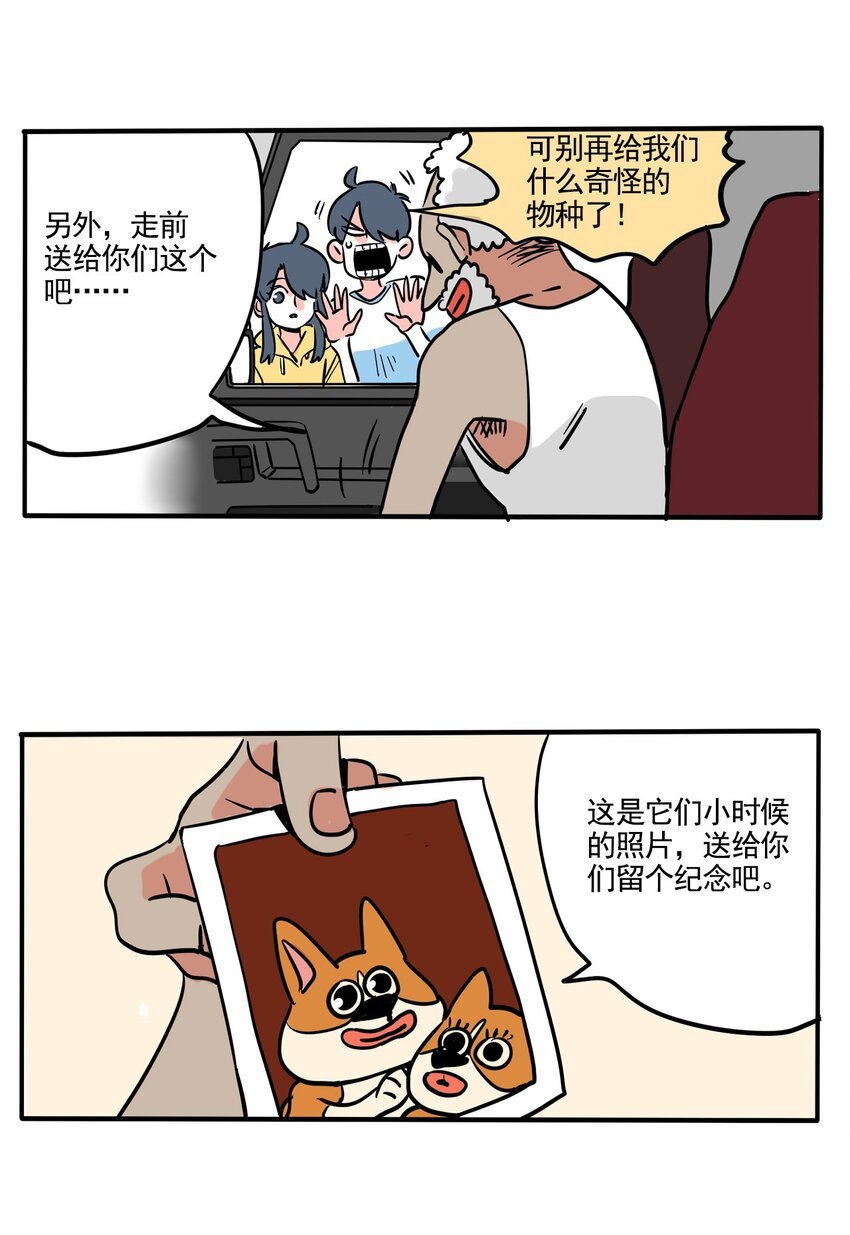 26.jpg