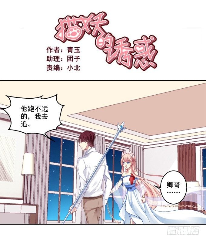 貓妖的誘惑 - 看爸媽生小毛球！ - 2