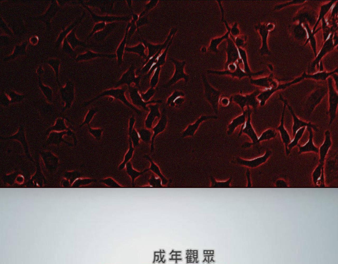 末日大事件DLC大流行 - 第七集 - 1