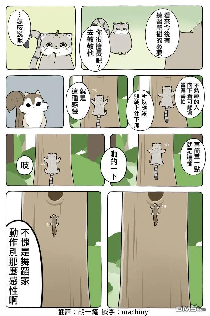 某日的郊狼和花栗鼠 - 第30話 - 1