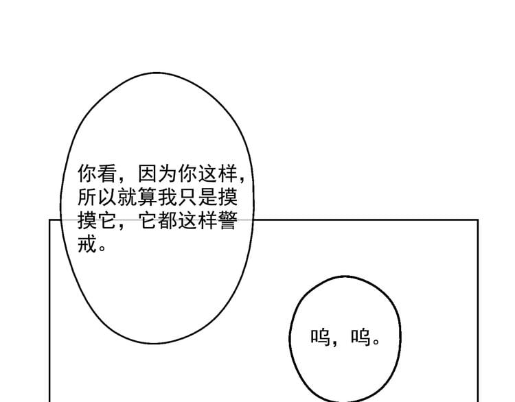 98.jpg