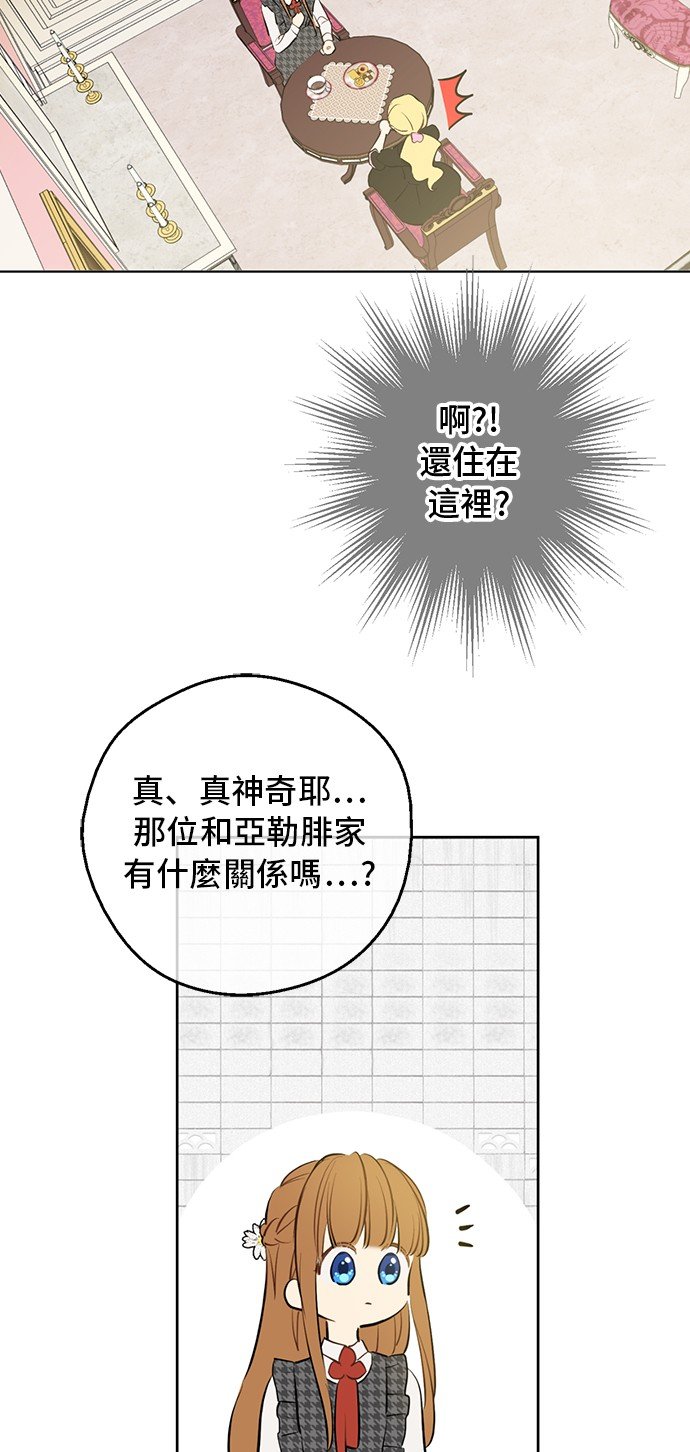 64.jpg
