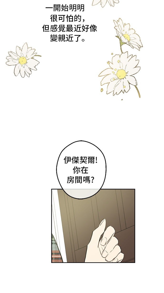 96.jpg