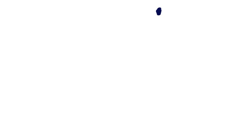 48.jpg