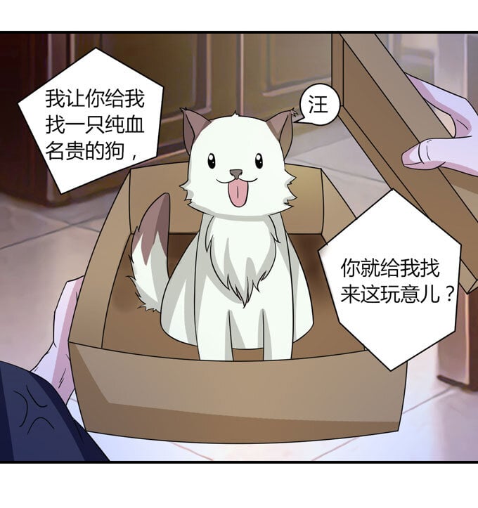 女裝大佬養成記 - 41 二郎神 - 3