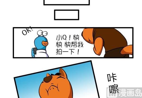 Q淘闖世界 - 拍一拍 - 1