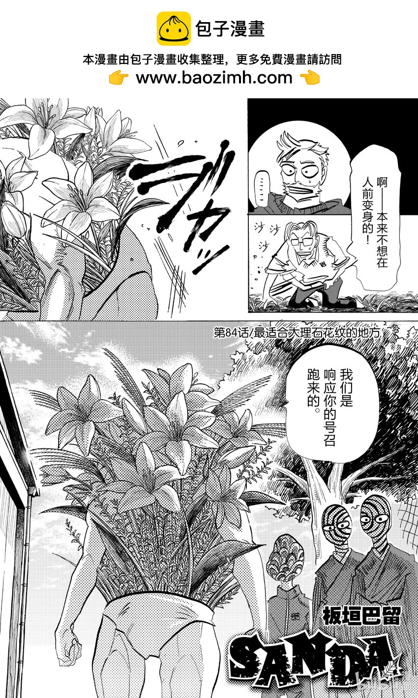 SANDA - 84 最適合大理石花紋的地方 - 2