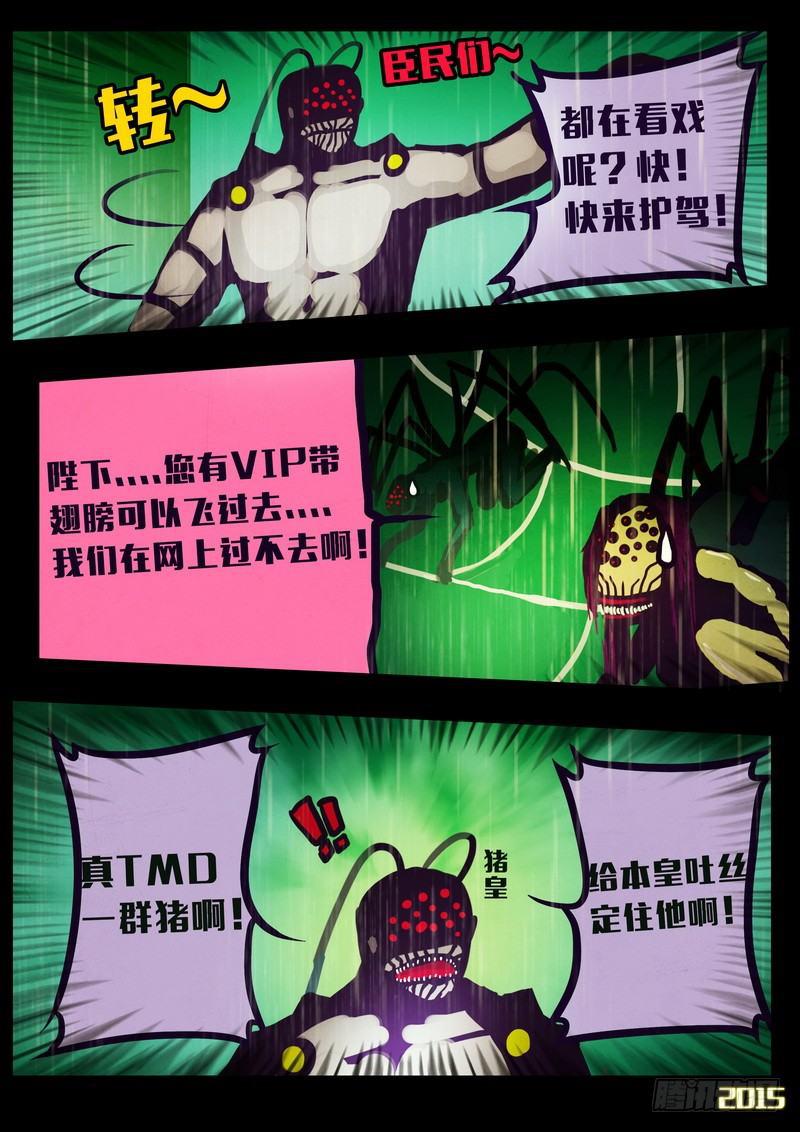 15.jpg
