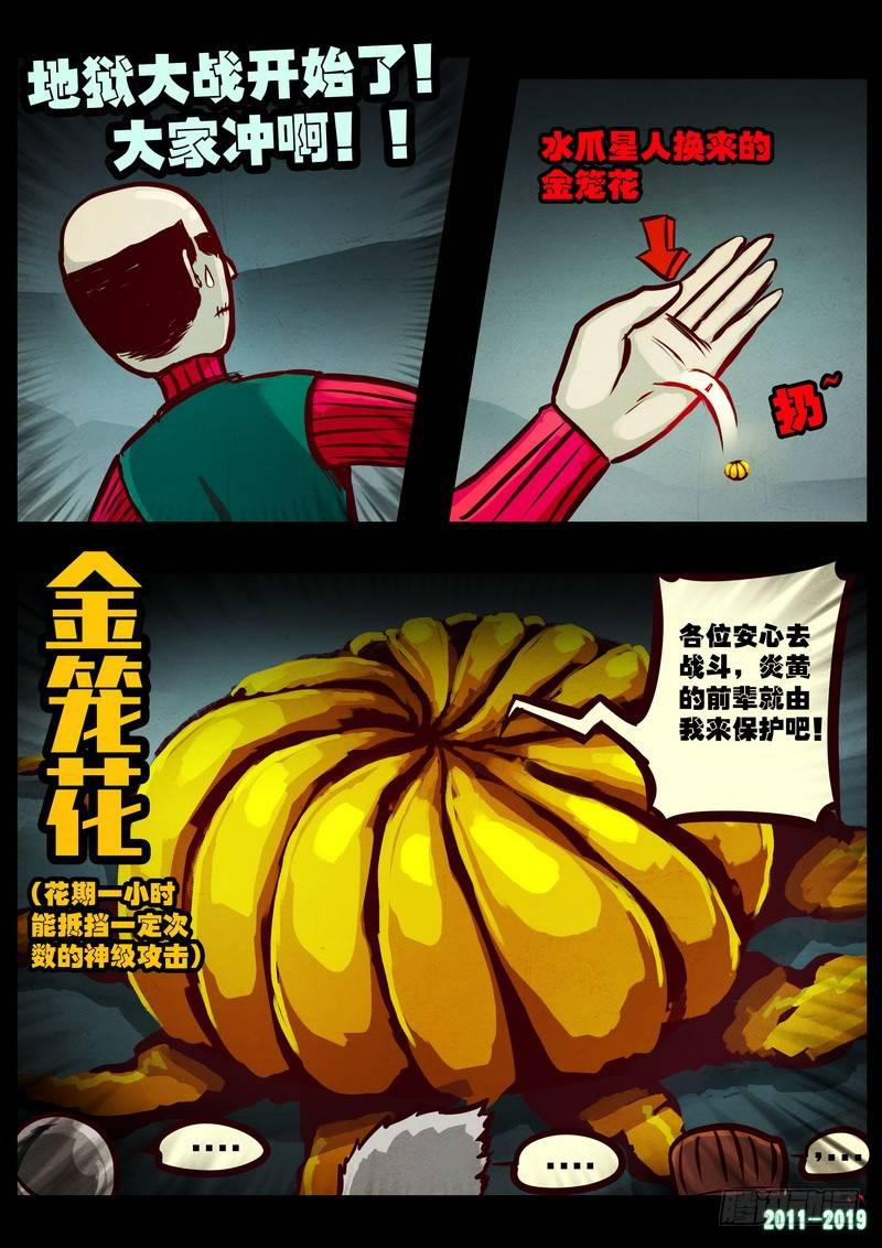19.jpg