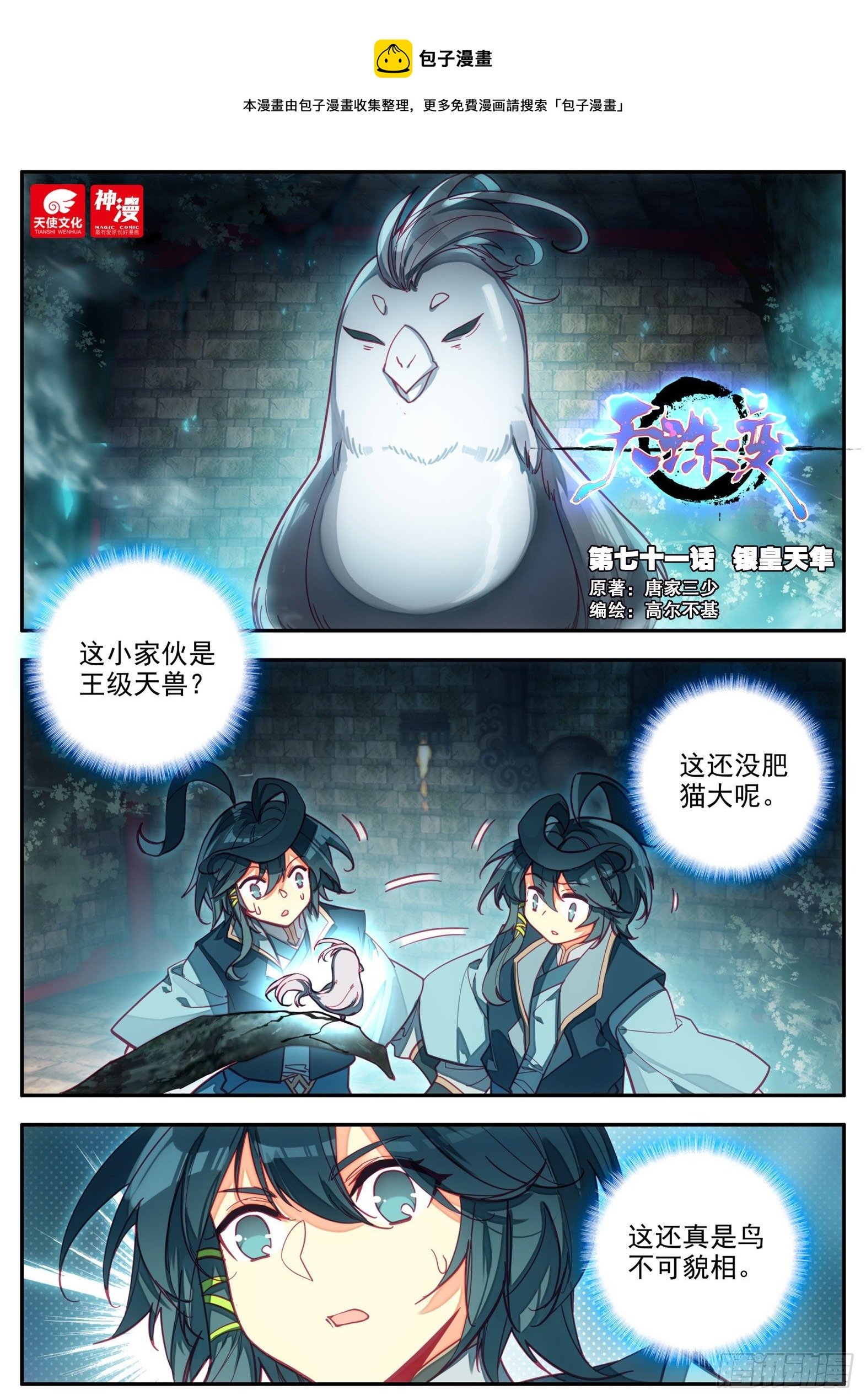 天珠变 - 71 银皇天隼 - 1