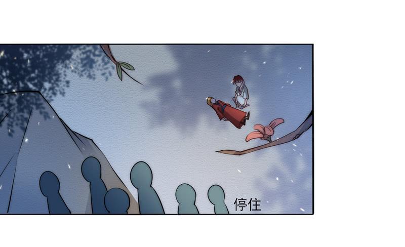 替嫁火鳳：暴君私寵小妖后 - 041 瑤衣之死 - 2