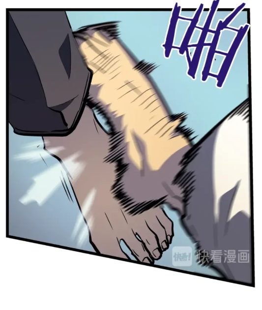 49.jpg