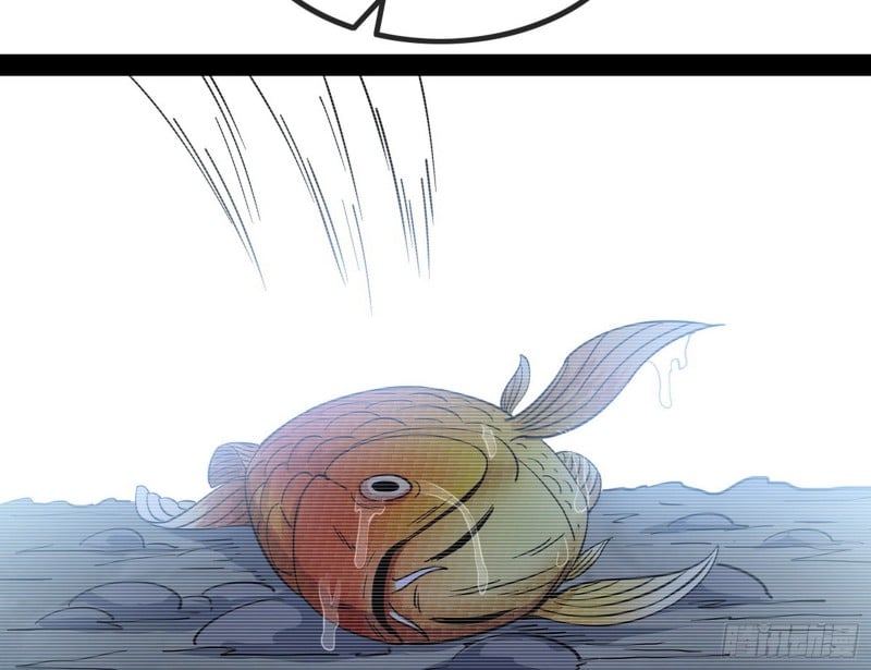 76.jpg