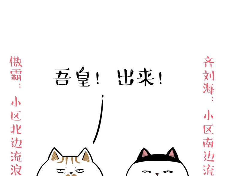 吾皇巴扎黑 - 第189話 就你胖，還能浪(1/2) - 1