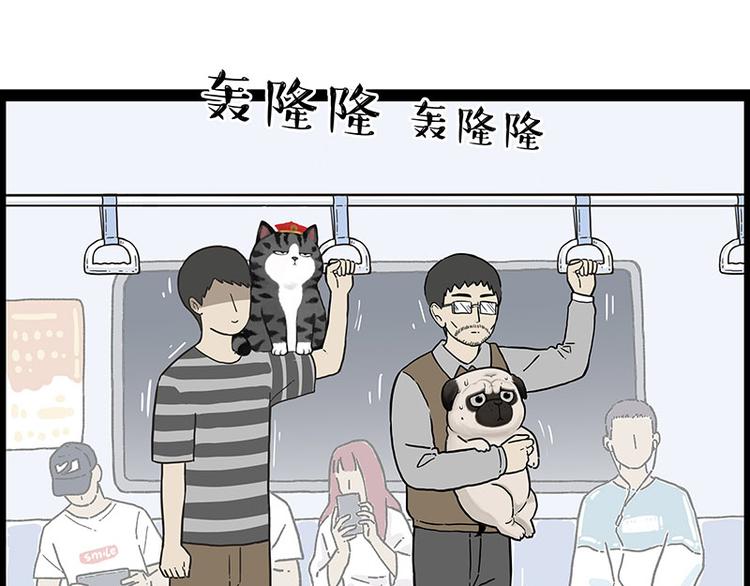吾皇巴扎黑 - 第247話 巴扎豬(1/2) - 3