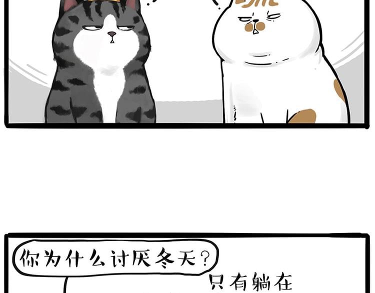 吾皇巴扎黑 - 第249話 黑黑快跑！(1/2) - 2