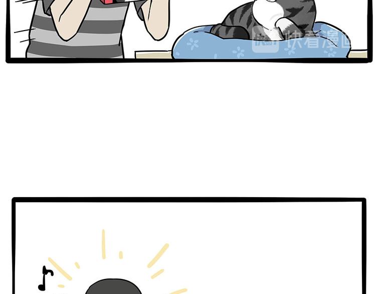 吾皇巴扎黑 - 第261話 滅蟑？ - 2